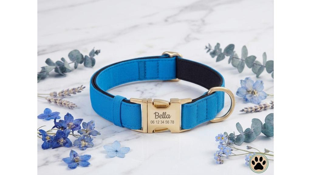 Collier Chien Personnalisé