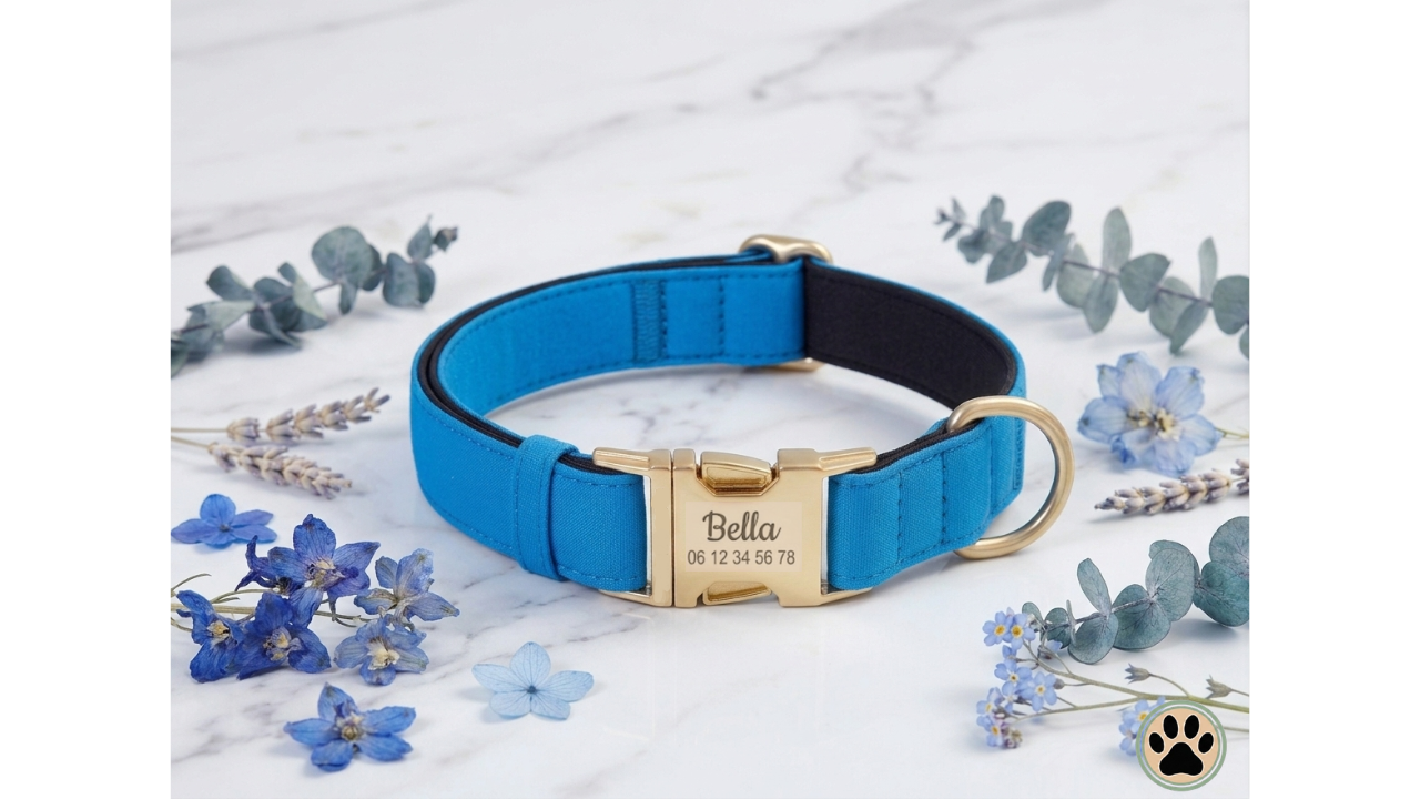 Collier Chien Personnalisé